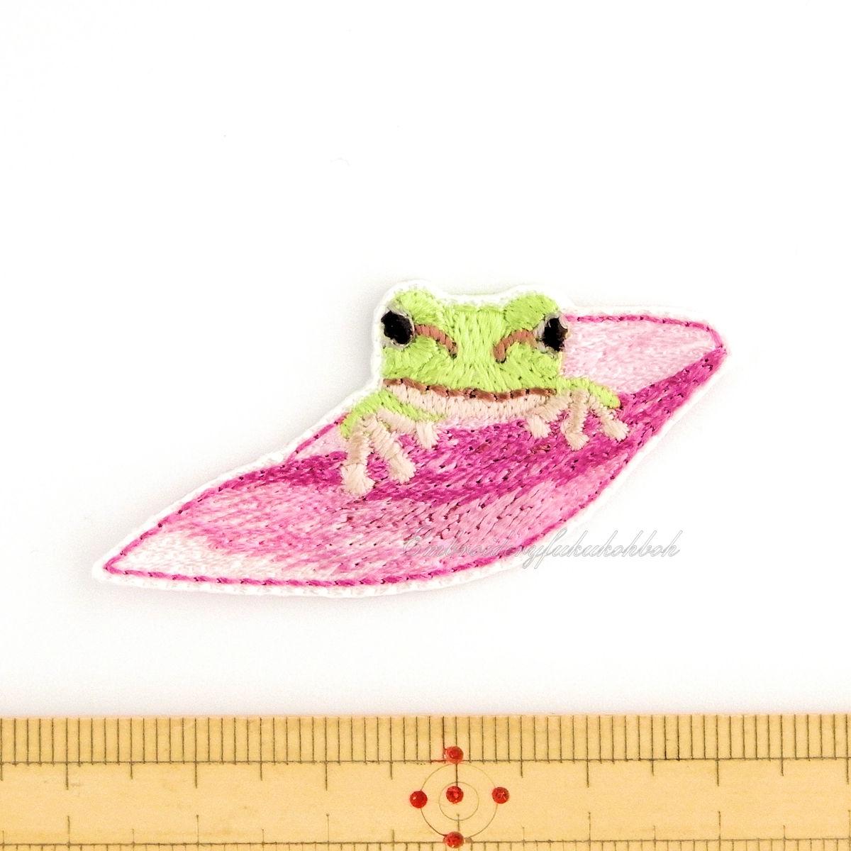 花びらの上のアマガエル | 2枚目