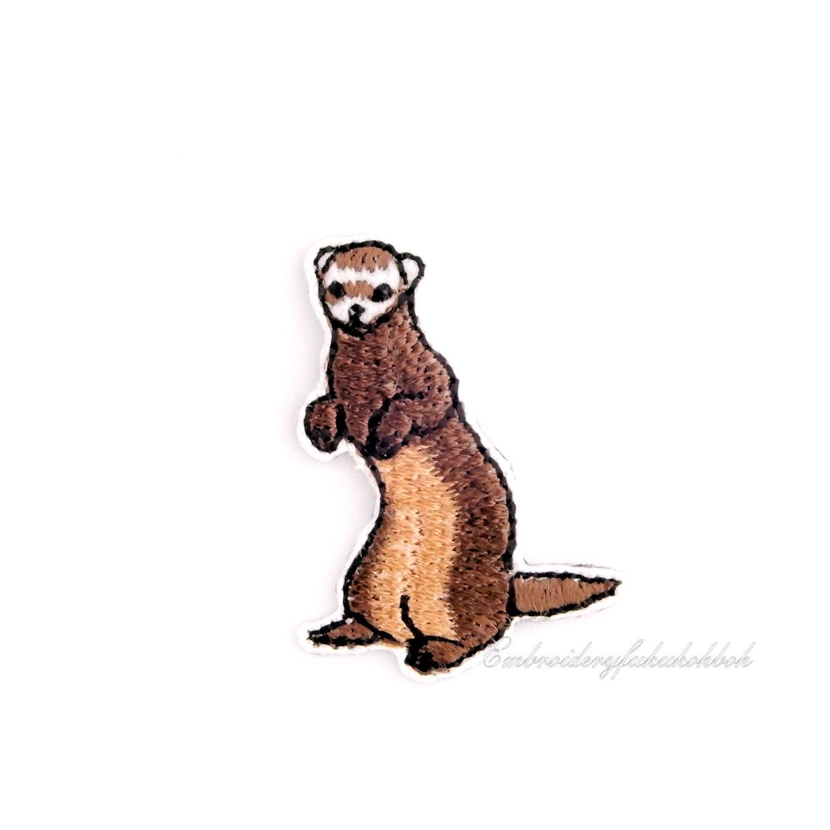 プレシャスフェレット　セーブル1枚目の画像