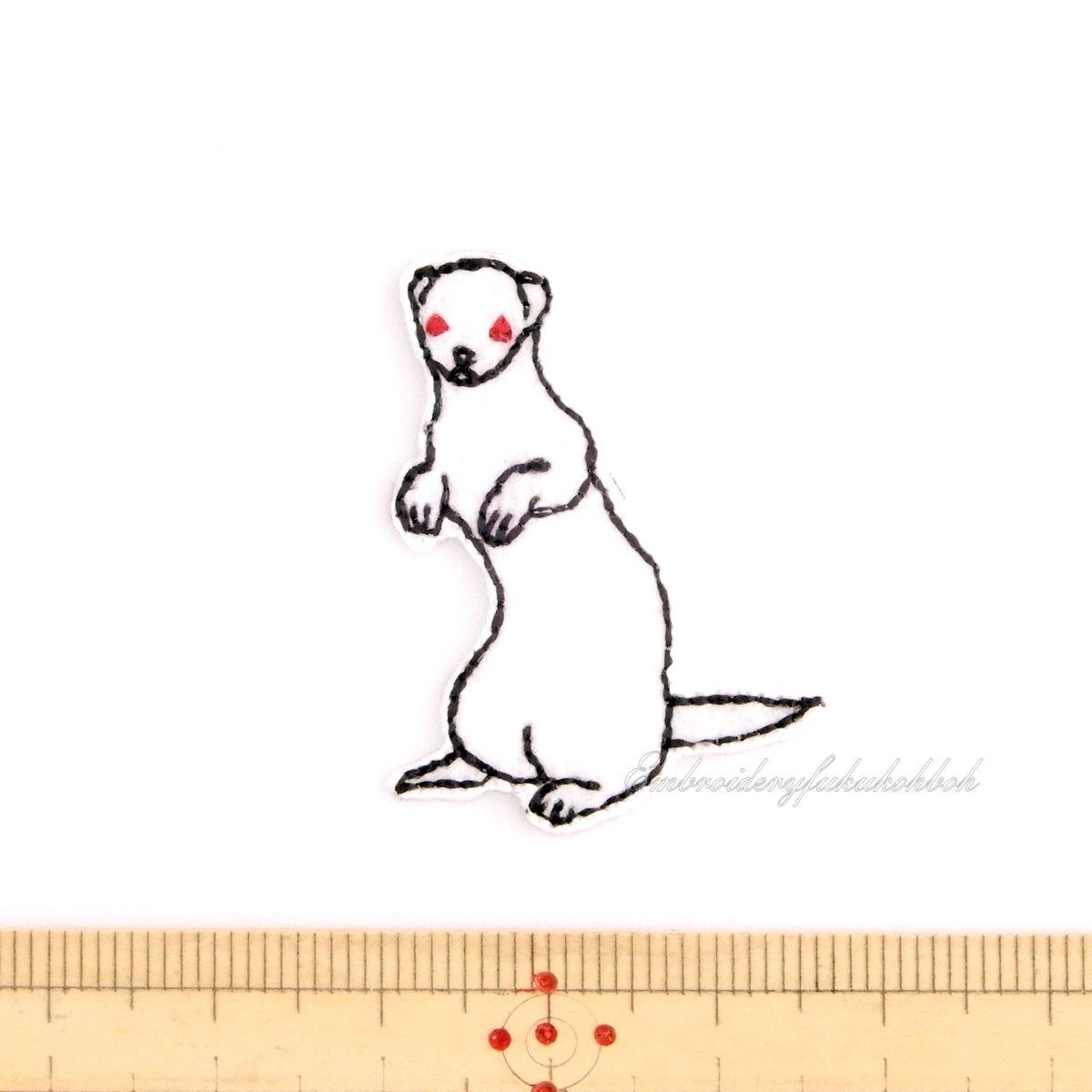 プレシャスフェレット　アルビノ | 2枚目