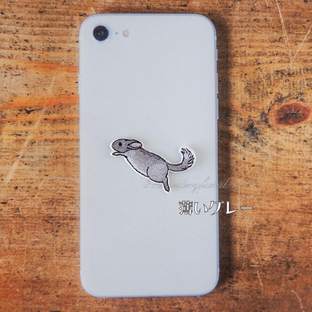 空飛ぶチンチラ | 8枚目