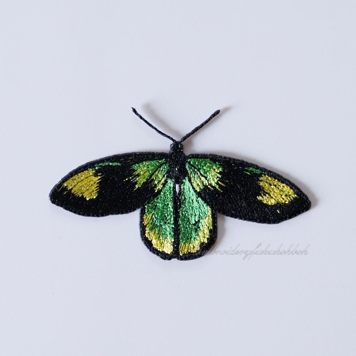 ビクトリアトリバネアゲハ1枚目の画像