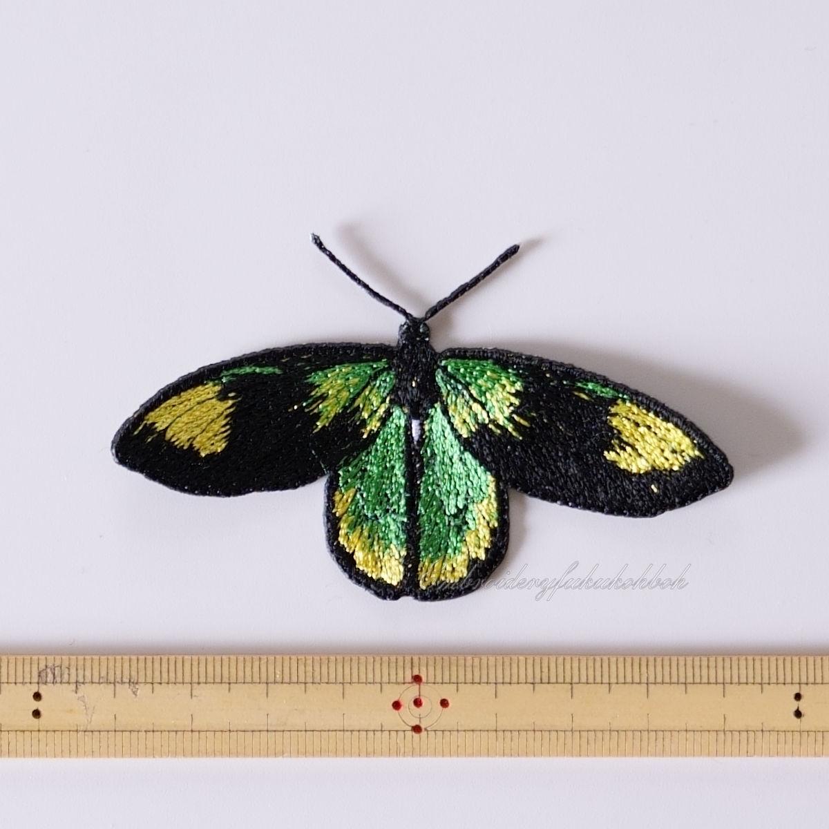 ビクトリアトリバネアゲハ | 2枚目