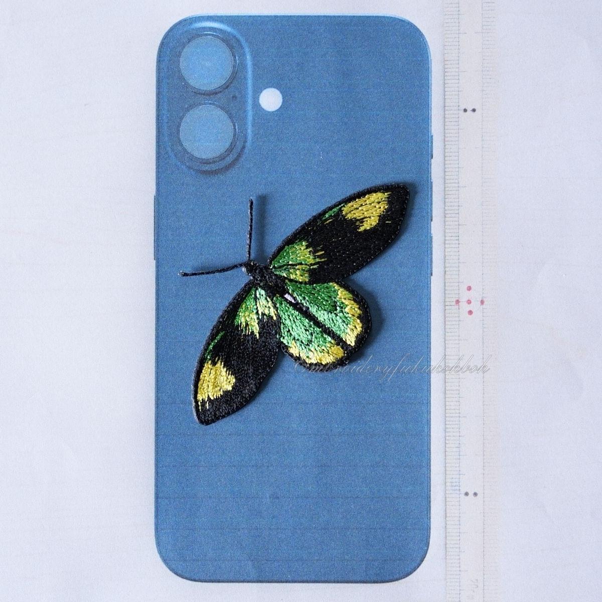 ビクトリアトリバネアゲハ | 3枚目