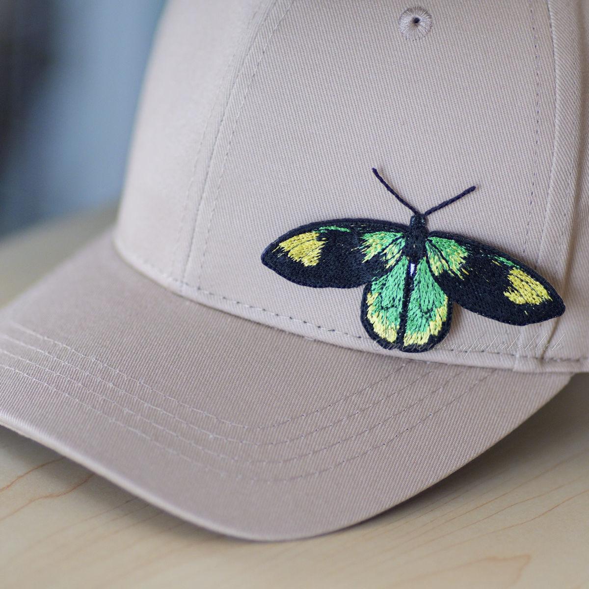 ビクトリアトリバネアゲハ | 5枚目