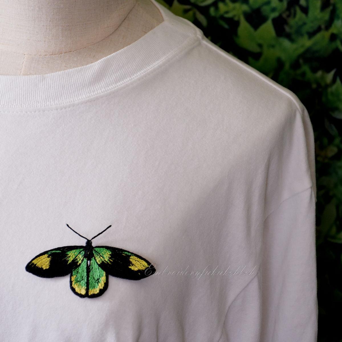 ビクトリアトリバネアゲハ | 6枚目