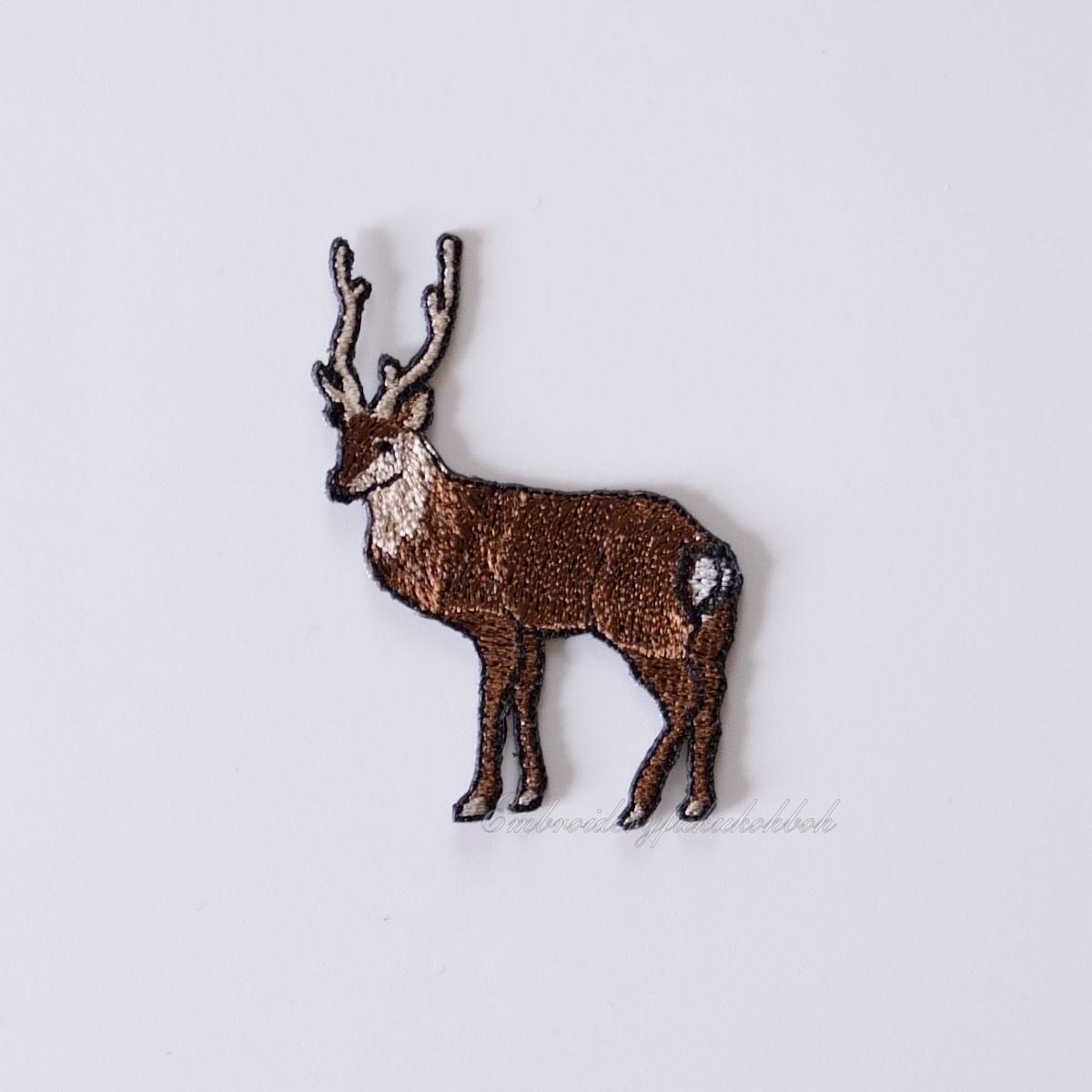 鹿　ホンシュウジカ　ニホンジカ1枚目の画像