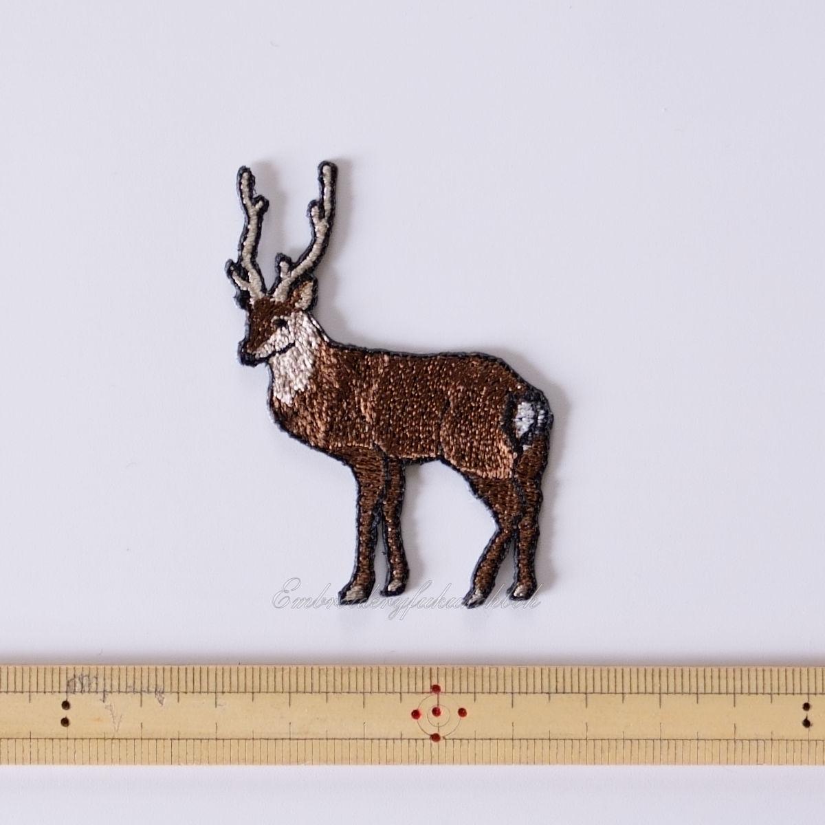 鹿　ホンシュウジカ　ニホンジカ | 2枚目