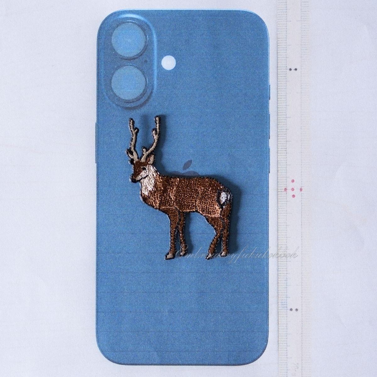 鹿　ホンシュウジカ　ニホンジカ | 3枚目