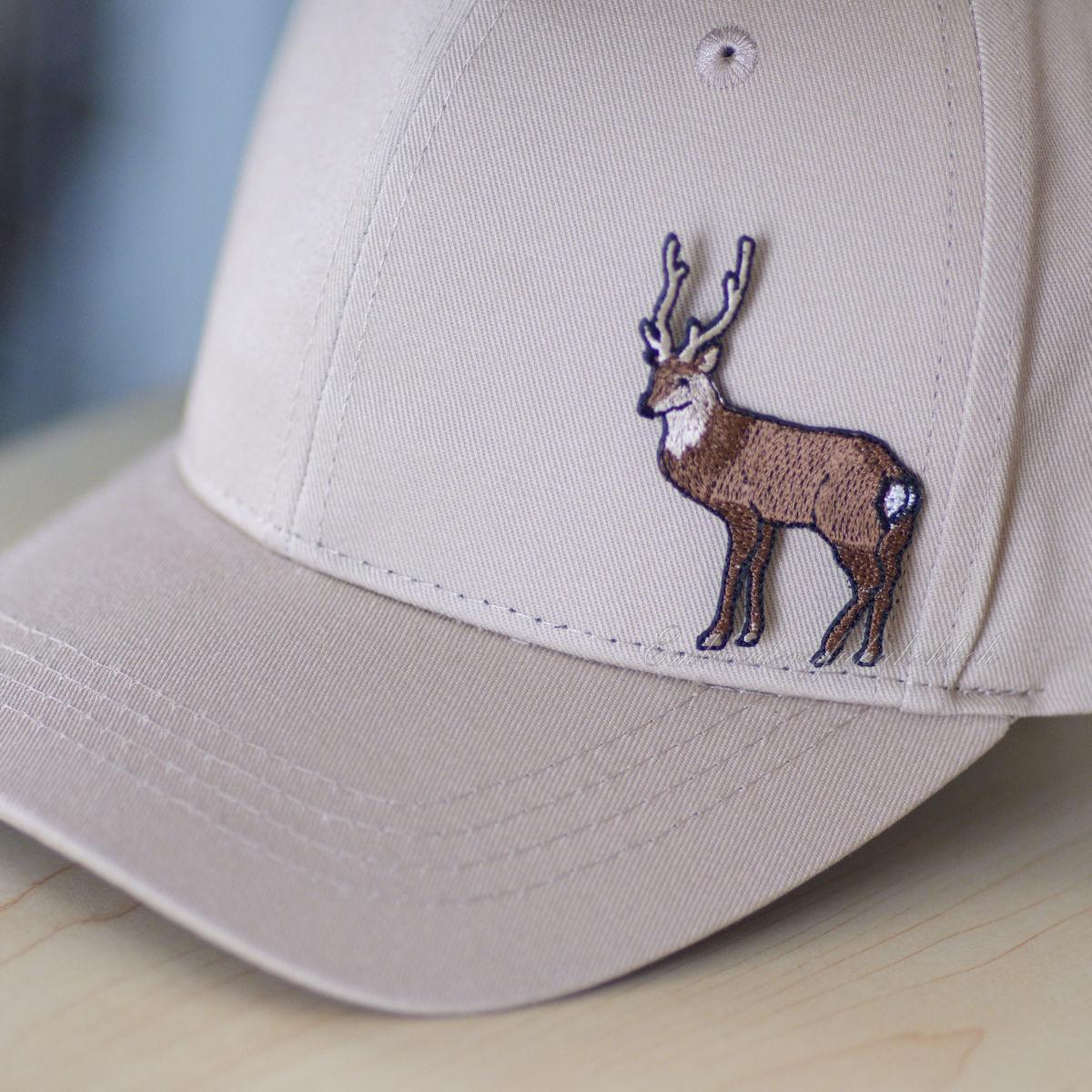 鹿　ホンシュウジカ　ニホンジカ | 5枚目