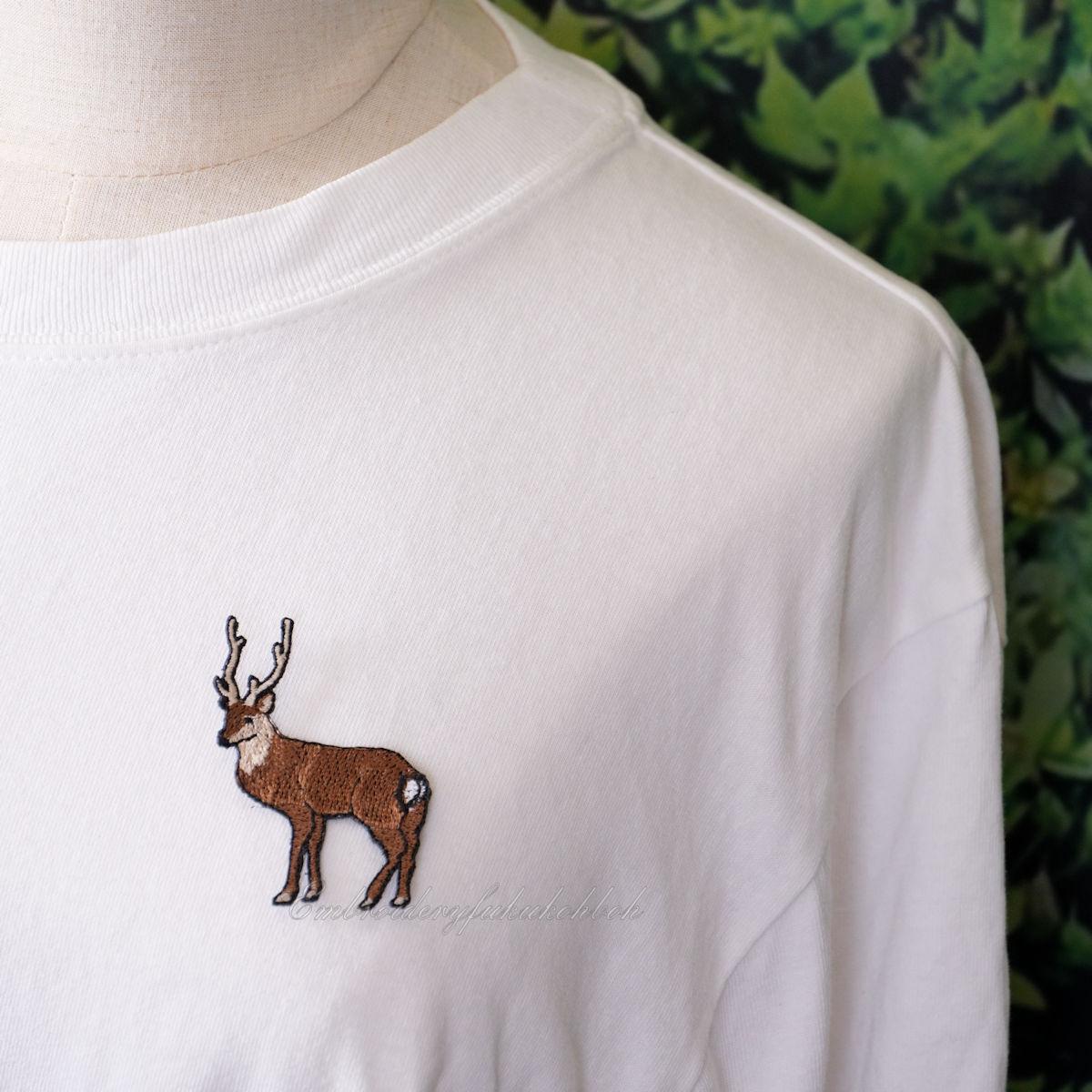 鹿　ホンシュウジカ　ニホンジカ | 6枚目