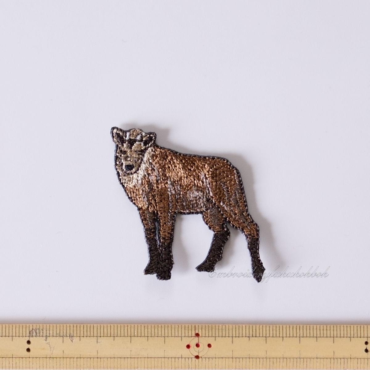 ニホンカモシカ　特別天然記念物 | 2枚目