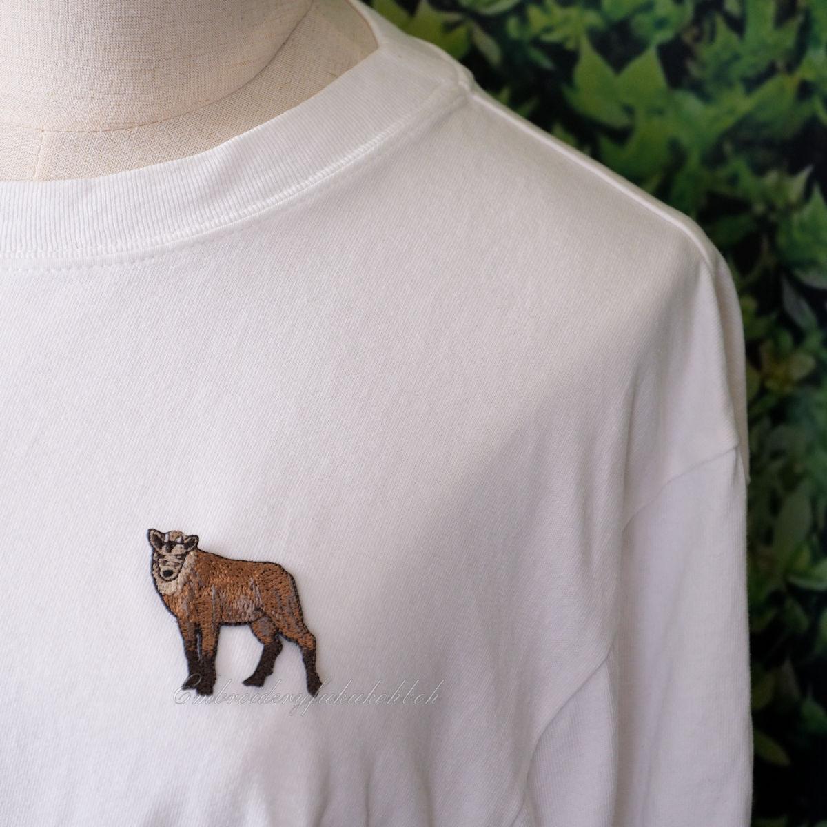 ニホンカモシカ　特別天然記念物 | 6枚目