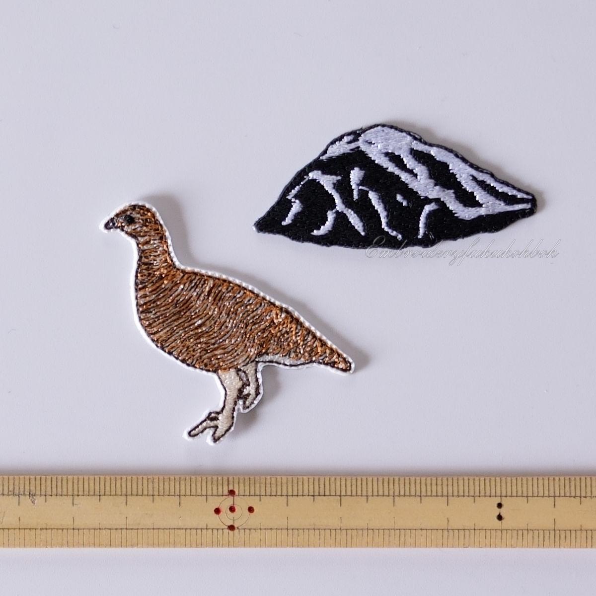 夏のライチョウ　雷鳥　絶滅危惧種　特別天然記念物 | 10枚目