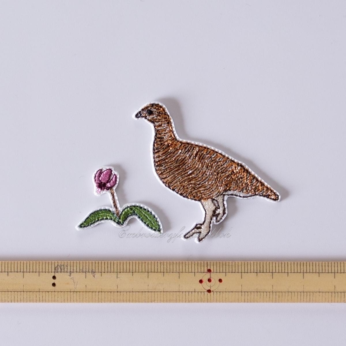 夏のライチョウ　雷鳥　絶滅危惧種　特別天然記念物 | 12枚目