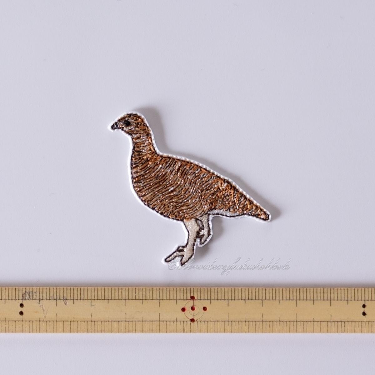 夏のライチョウ　雷鳥　絶滅危惧種　特別天然記念物 | 2枚目