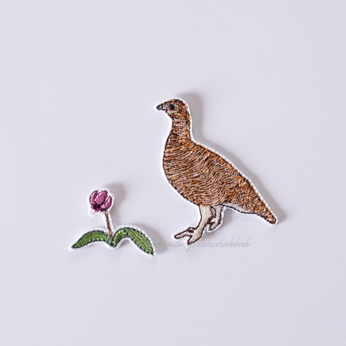 夏のライチョウ　雷鳥　絶滅危惧種　特別天然記念物 | 3枚目