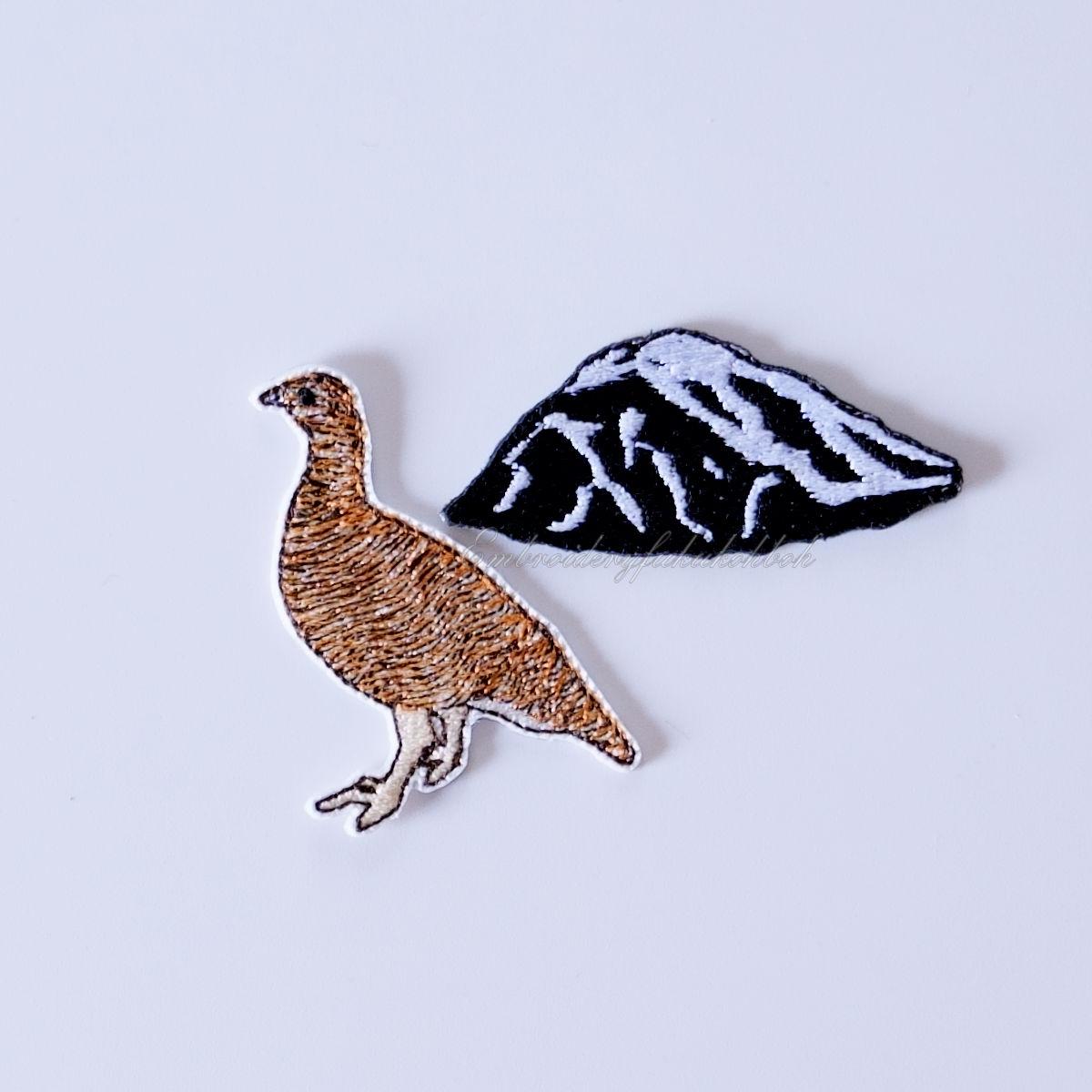 夏のライチョウ　雷鳥　絶滅危惧種　特別天然記念物 | 4枚目