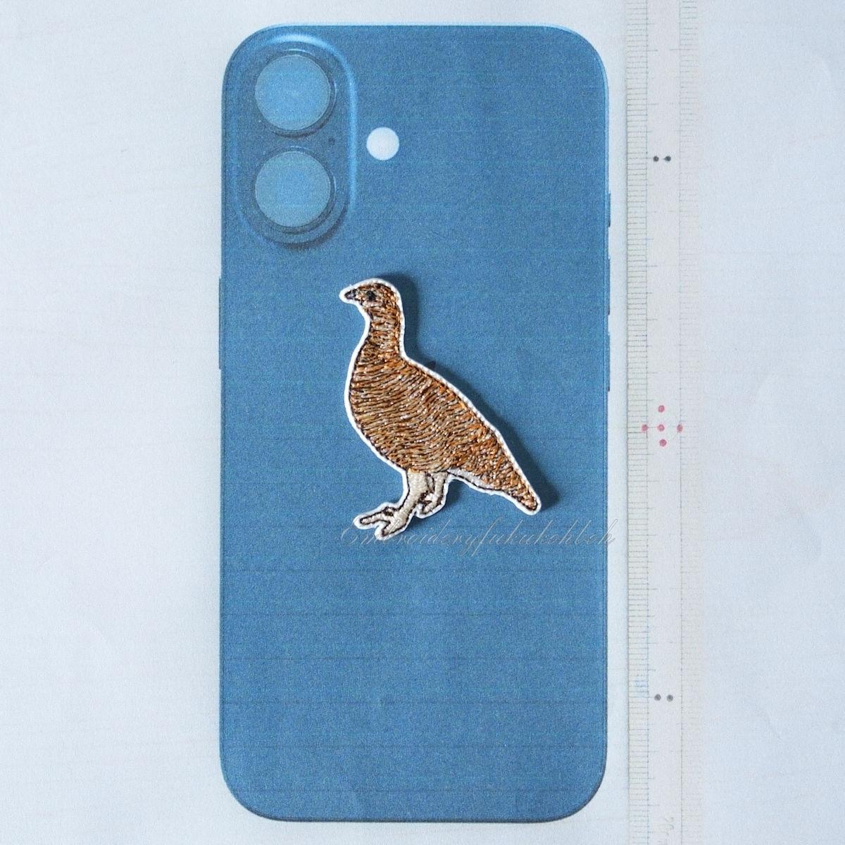 夏のライチョウ　雷鳥　絶滅危惧種　特別天然記念物 | 5枚目