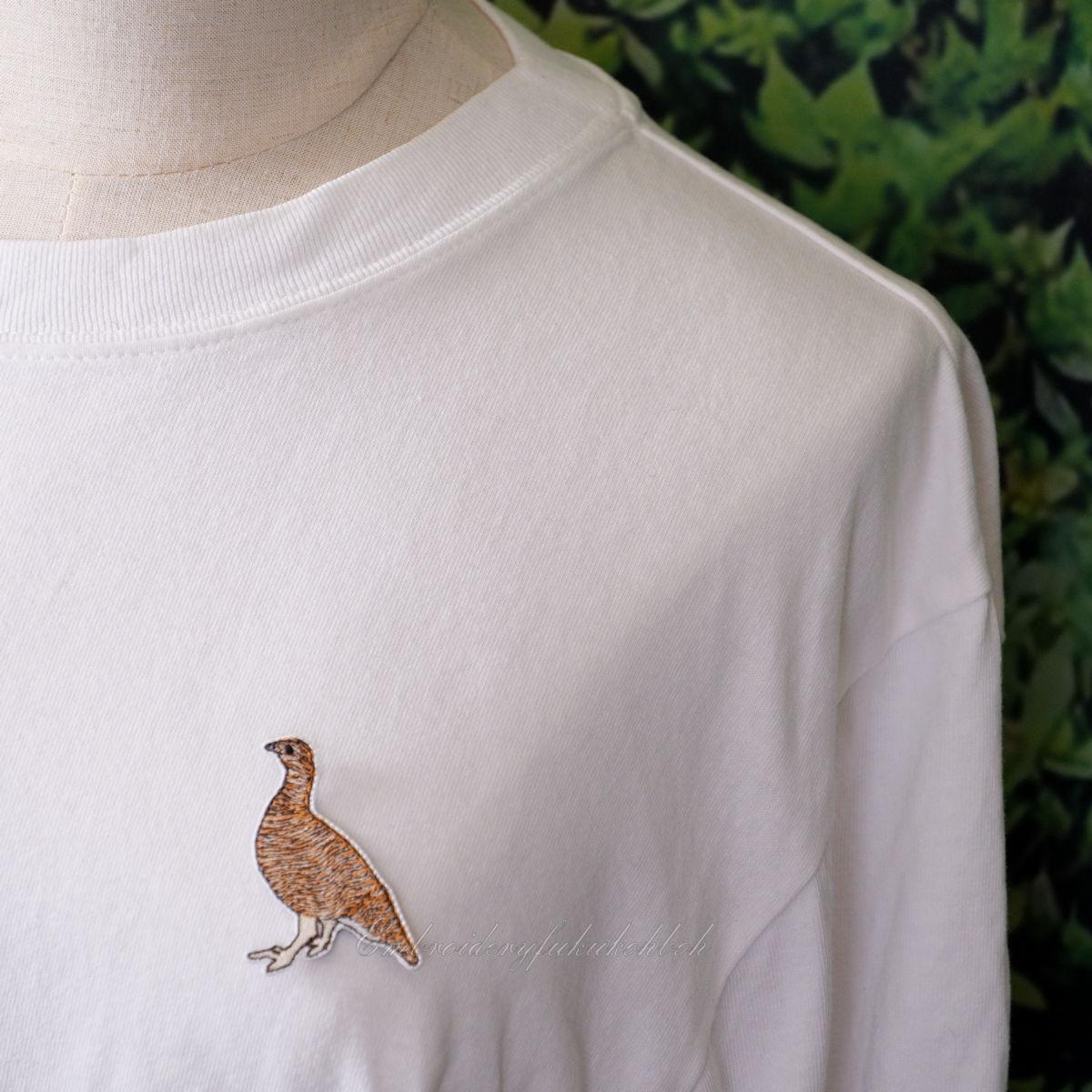 夏のライチョウ　雷鳥　絶滅危惧種　特別天然記念物 | 6枚目