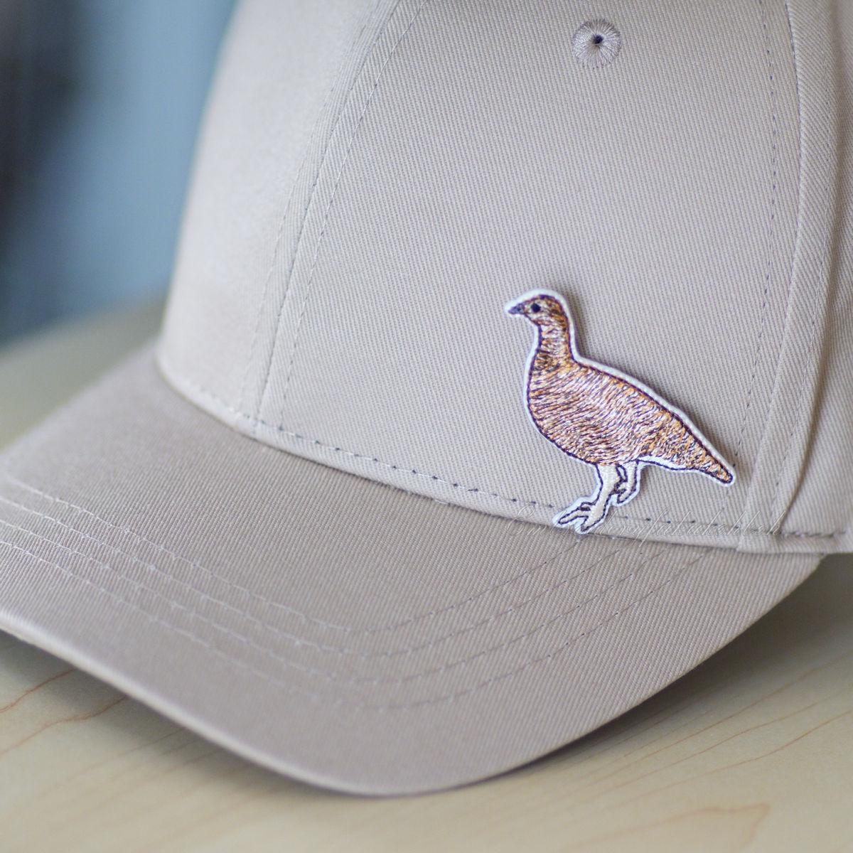 夏のライチョウ　雷鳥　絶滅危惧種　特別天然記念物 | 8枚目