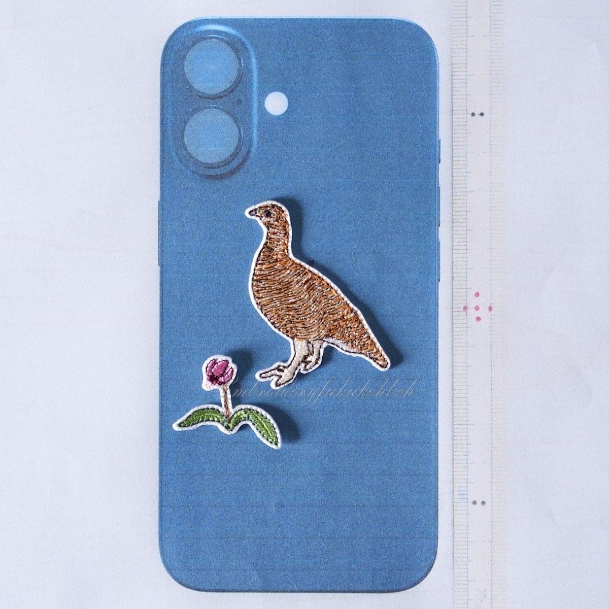 夏のライチョウ　雷鳥　絶滅危惧種　特別天然記念物 | 9枚目