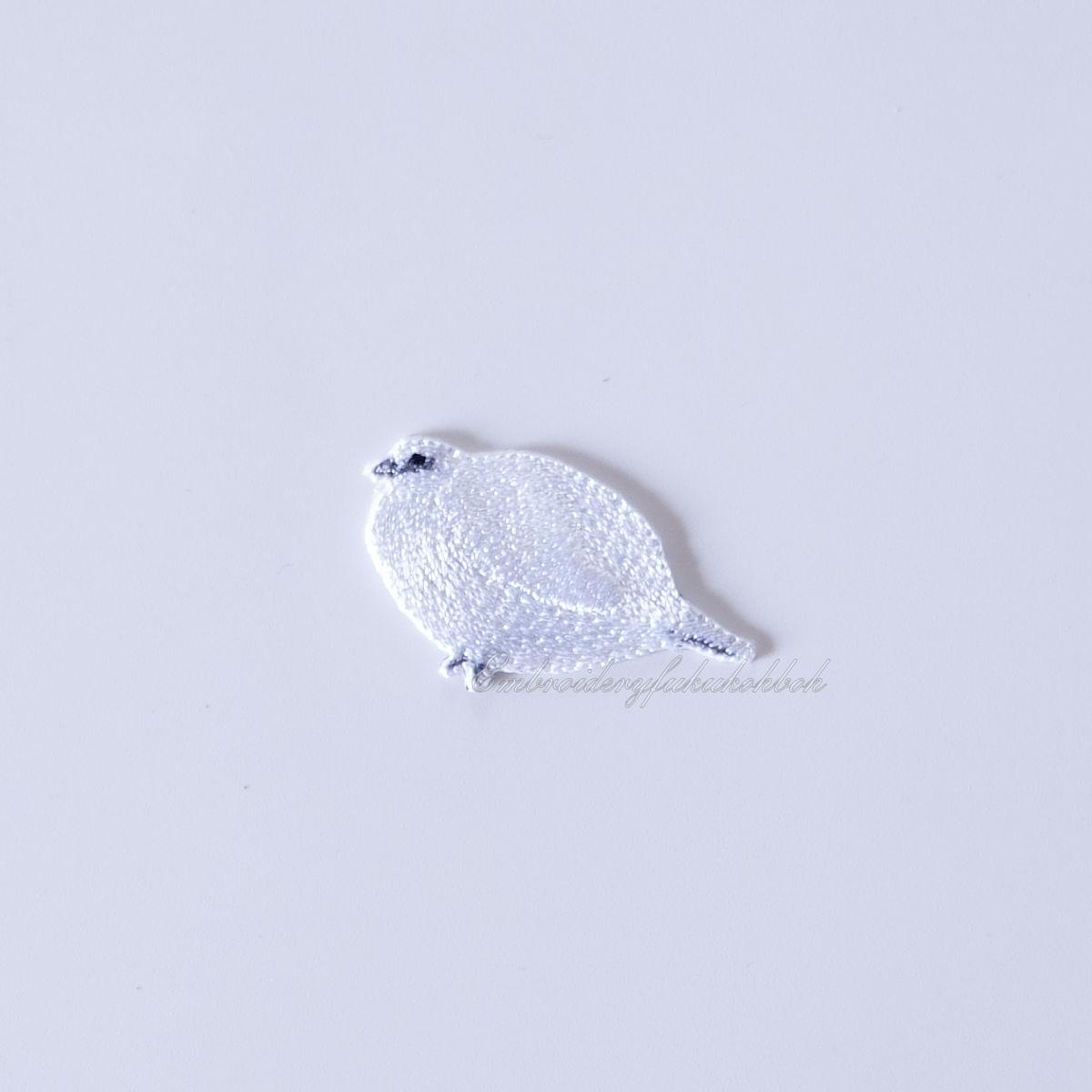 冬のライチョウ　雷鳥　絶滅危惧種　特別天然記念物1枚目の画像