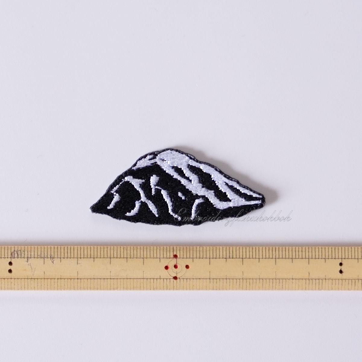 冬のライチョウ　雷鳥　絶滅危惧種　特別天然記念物 | 11枚目