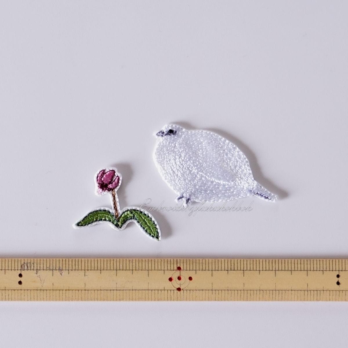 冬のライチョウ　雷鳥　絶滅危惧種　特別天然記念物 | 12枚目