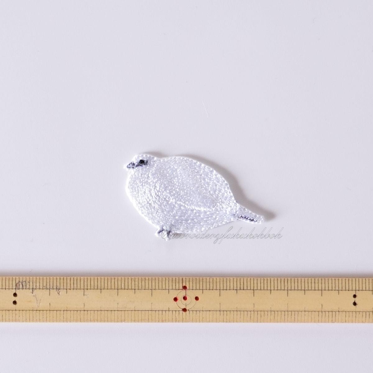 冬のライチョウ　雷鳥　絶滅危惧種　特別天然記念物 | 2枚目