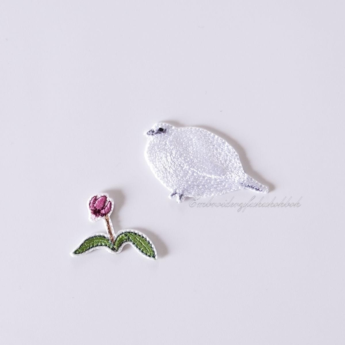 冬のライチョウ　雷鳥　絶滅危惧種　特別天然記念物 | 4枚目