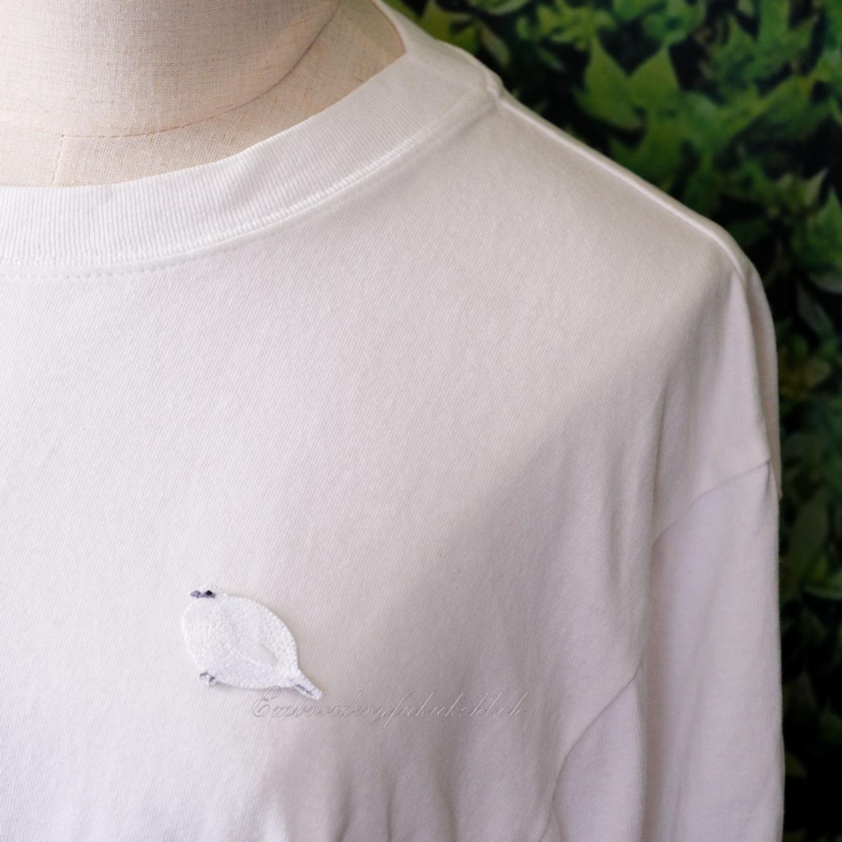 冬のライチョウ　雷鳥　絶滅危惧種　特別天然記念物 | 9枚目