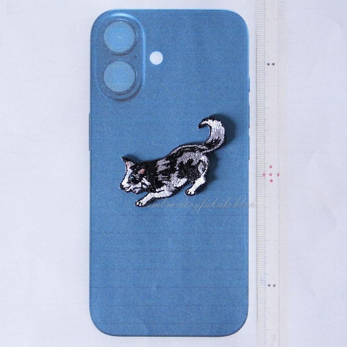 はっちゃけボーダー　ボーダーコリー　アジリティ | 12枚目