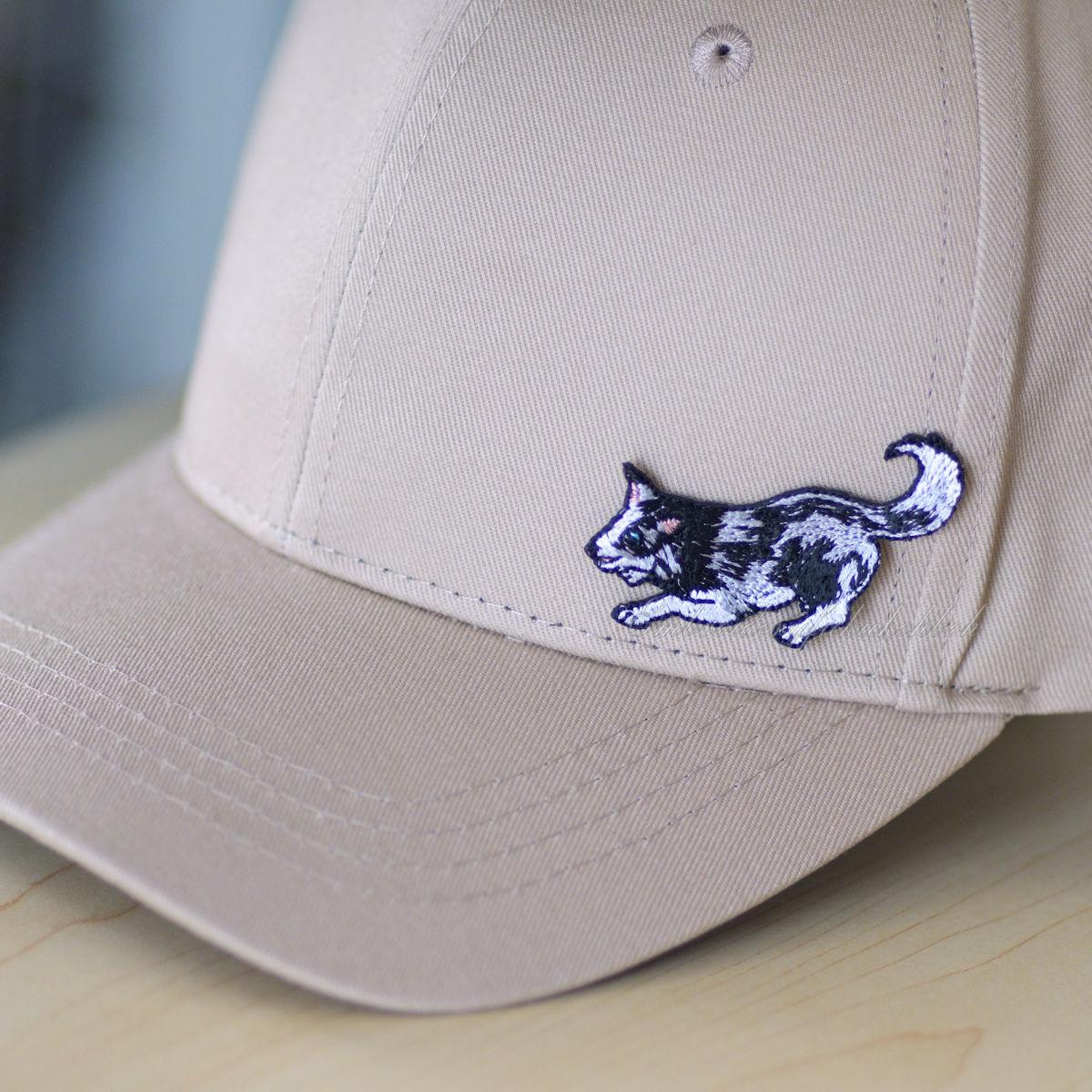 はっちゃけボーダー　ボーダーコリー　アジリティ | 14枚目