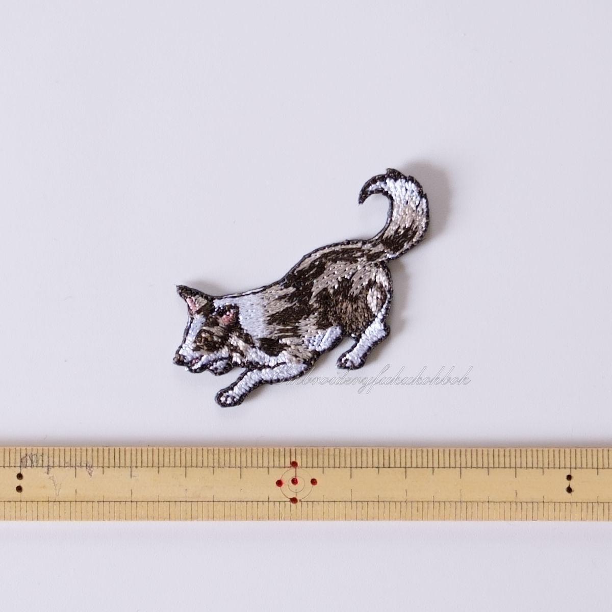 はっちゃけボーダー　ボーダーコリー　アジリティ | 16枚目