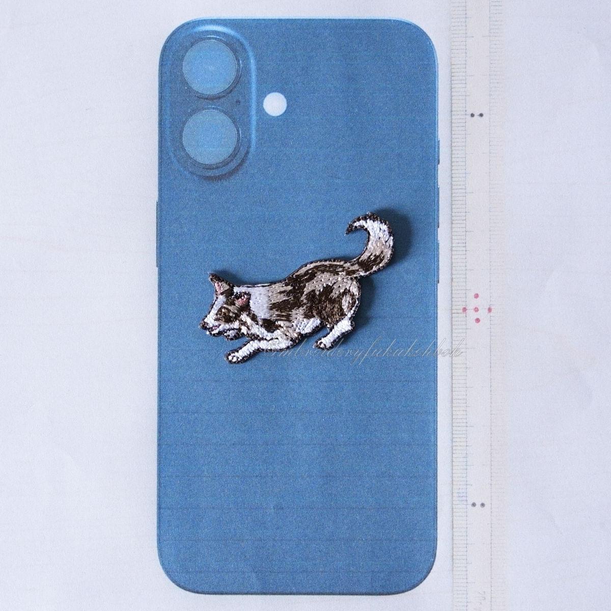 はっちゃけボーダー　ボーダーコリー　アジリティ | 17枚目