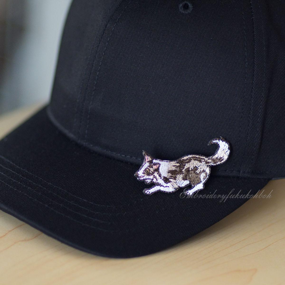 はっちゃけボーダー　ボーダーコリー　アジリティ | 18枚目