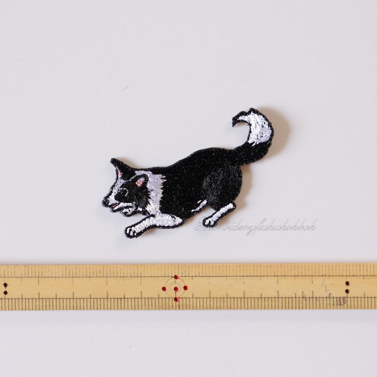 はっちゃけボーダー　ボーダーコリー　アジリティ | 2枚目