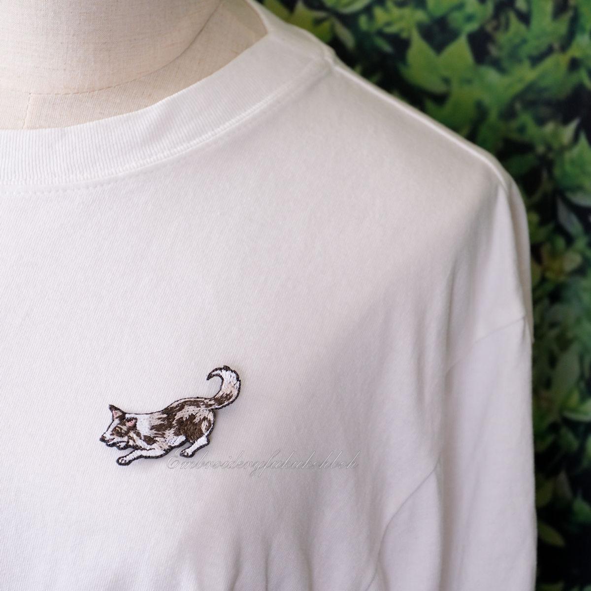 はっちゃけボーダー　ボーダーコリー　アジリティ | 20枚目