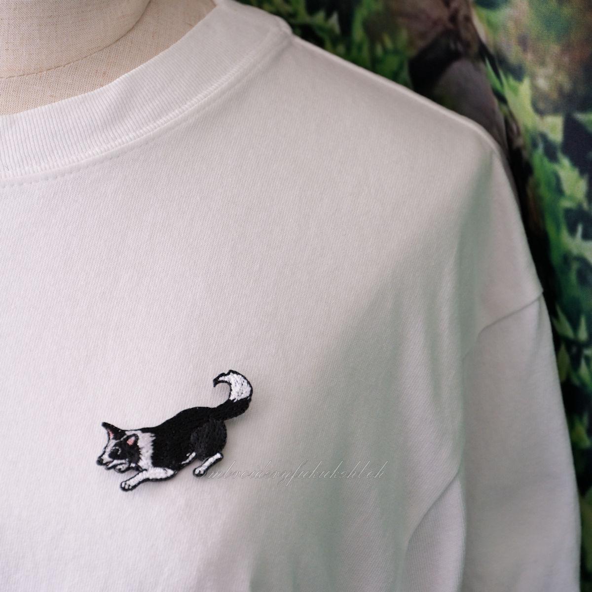 はっちゃけボーダー　ボーダーコリー　アジリティ | 5枚目