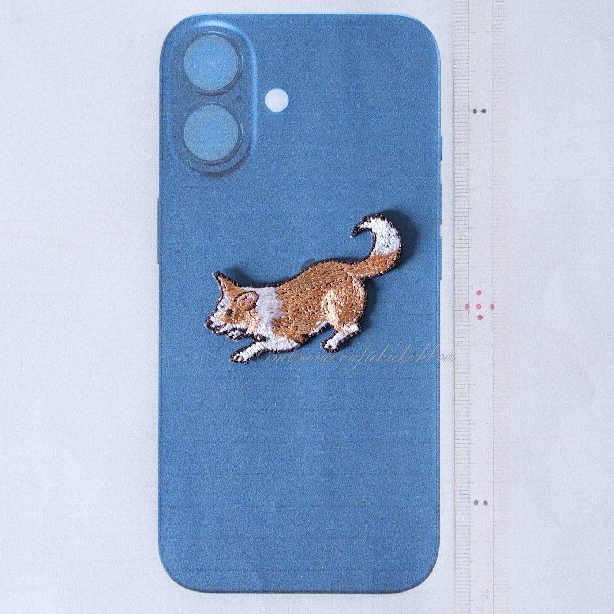 はっちゃけボーダー　ボーダーコリー　アジリティ | 7枚目