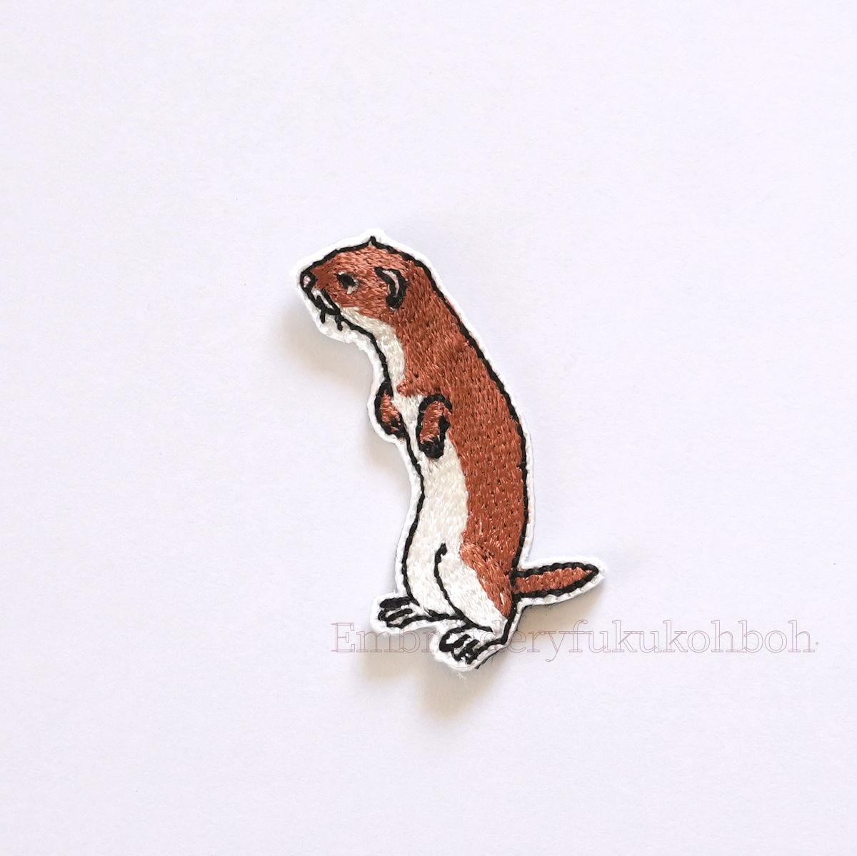 ちいさなハンター　イイズナ　二ホンイイズナ　純絶滅危惧種1枚目の画像