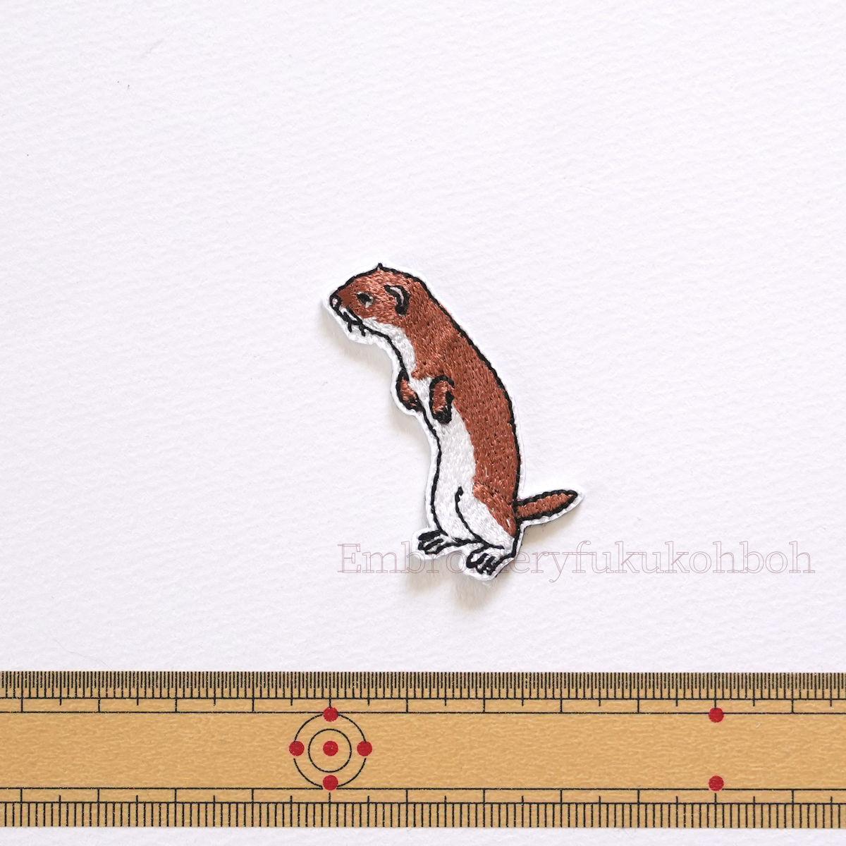 ちいさなハンター　イイズナ　二ホンイイズナ　純絶滅危惧種 | 2枚目