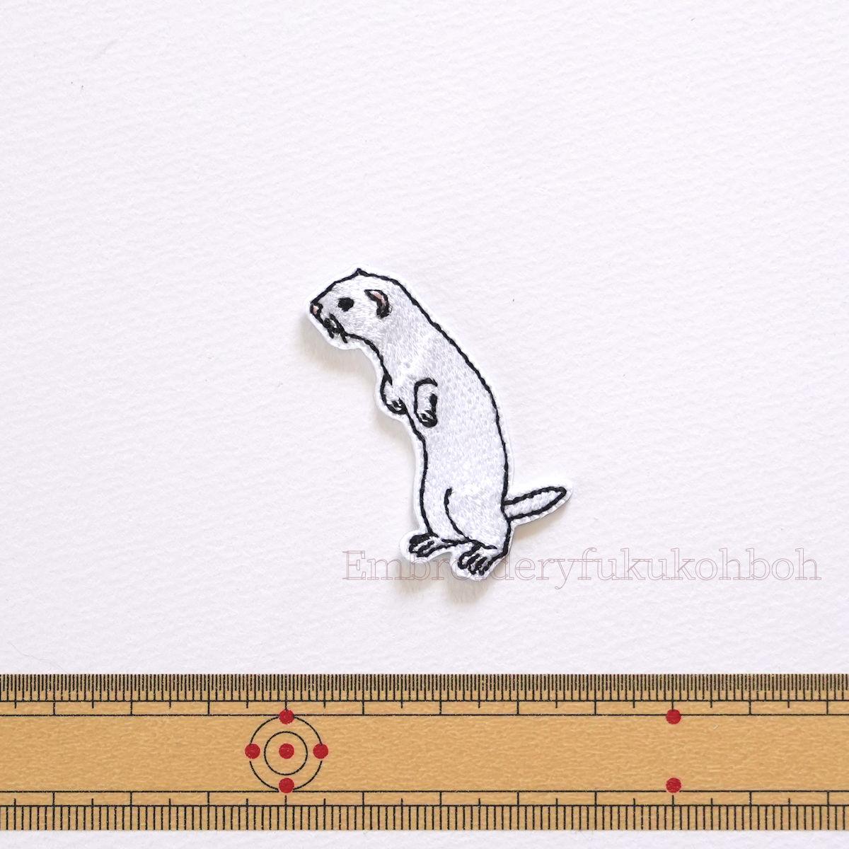 ちいさなハンター　イイズナ　二ホンイイズナ　純絶滅危惧種 | 6枚目