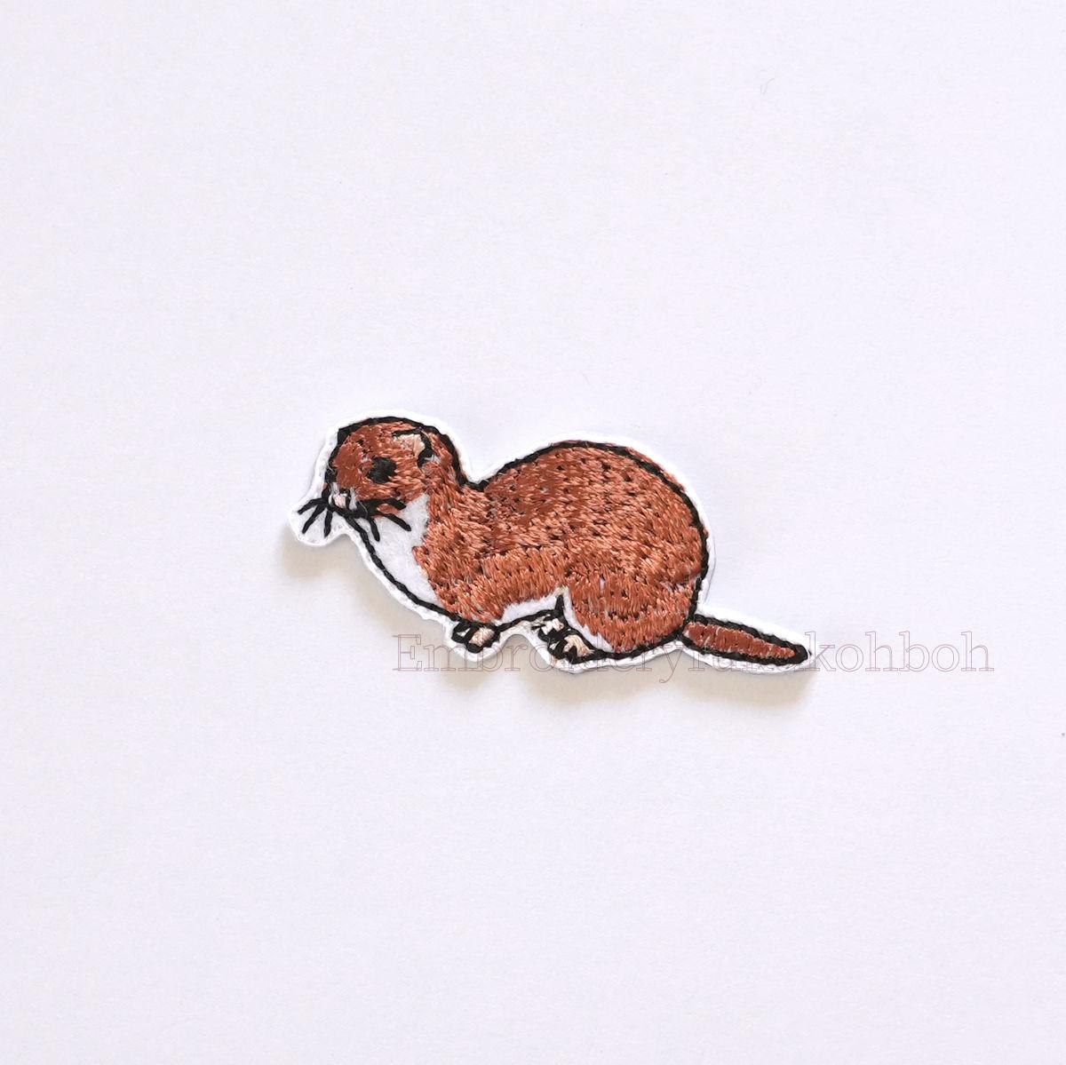イイズナ　夏　純絶滅危惧種1枚目の画像