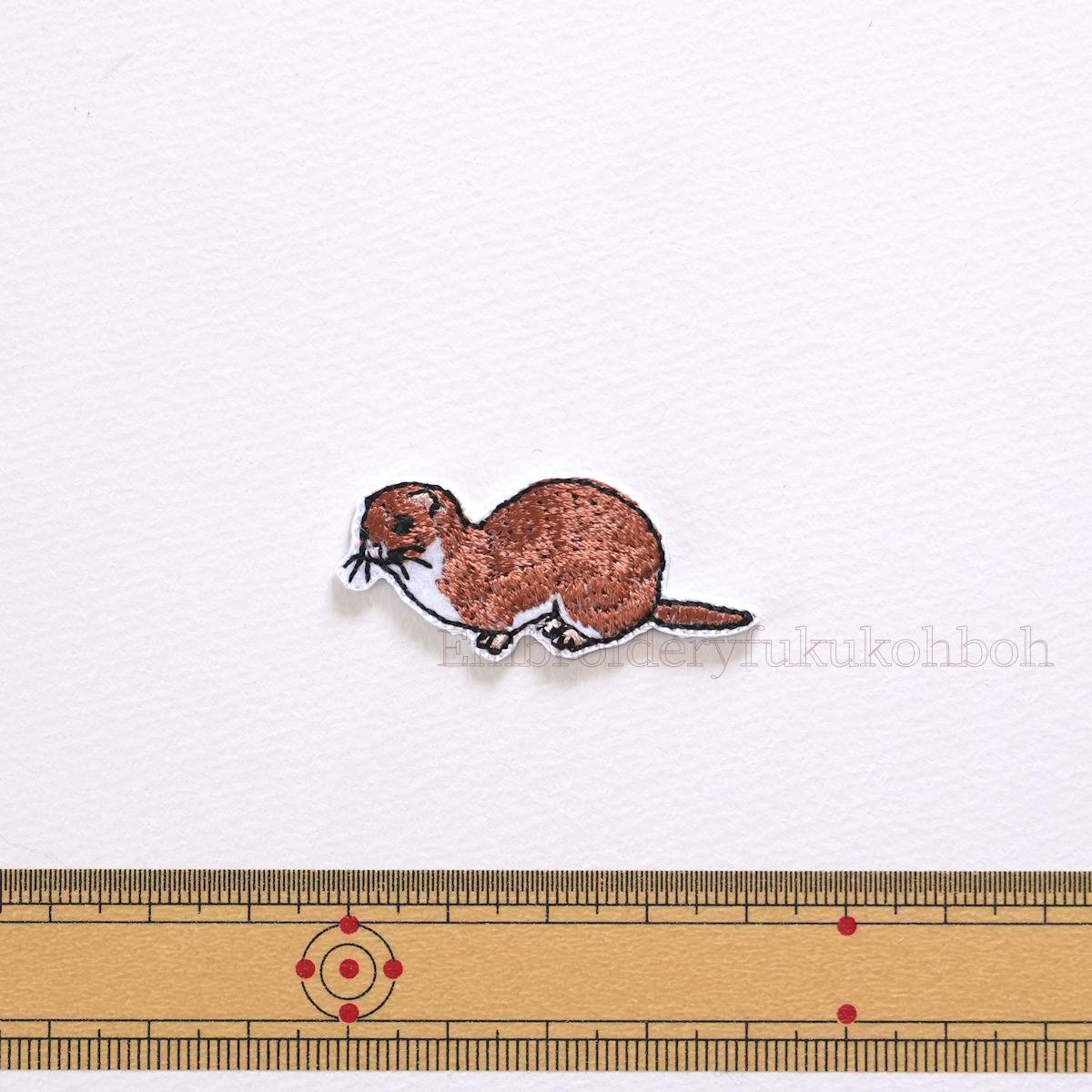 イイズナ　夏　純絶滅危惧種 | 2枚目