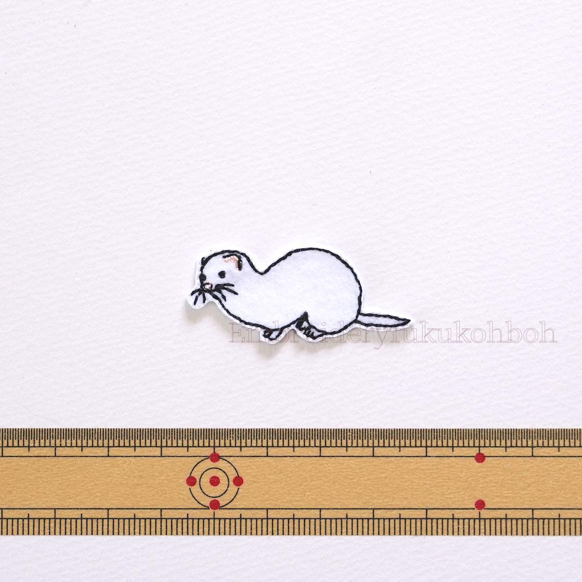 イイズナ　冬　二ホンイイズナ　純絶滅危惧種 | 2枚目