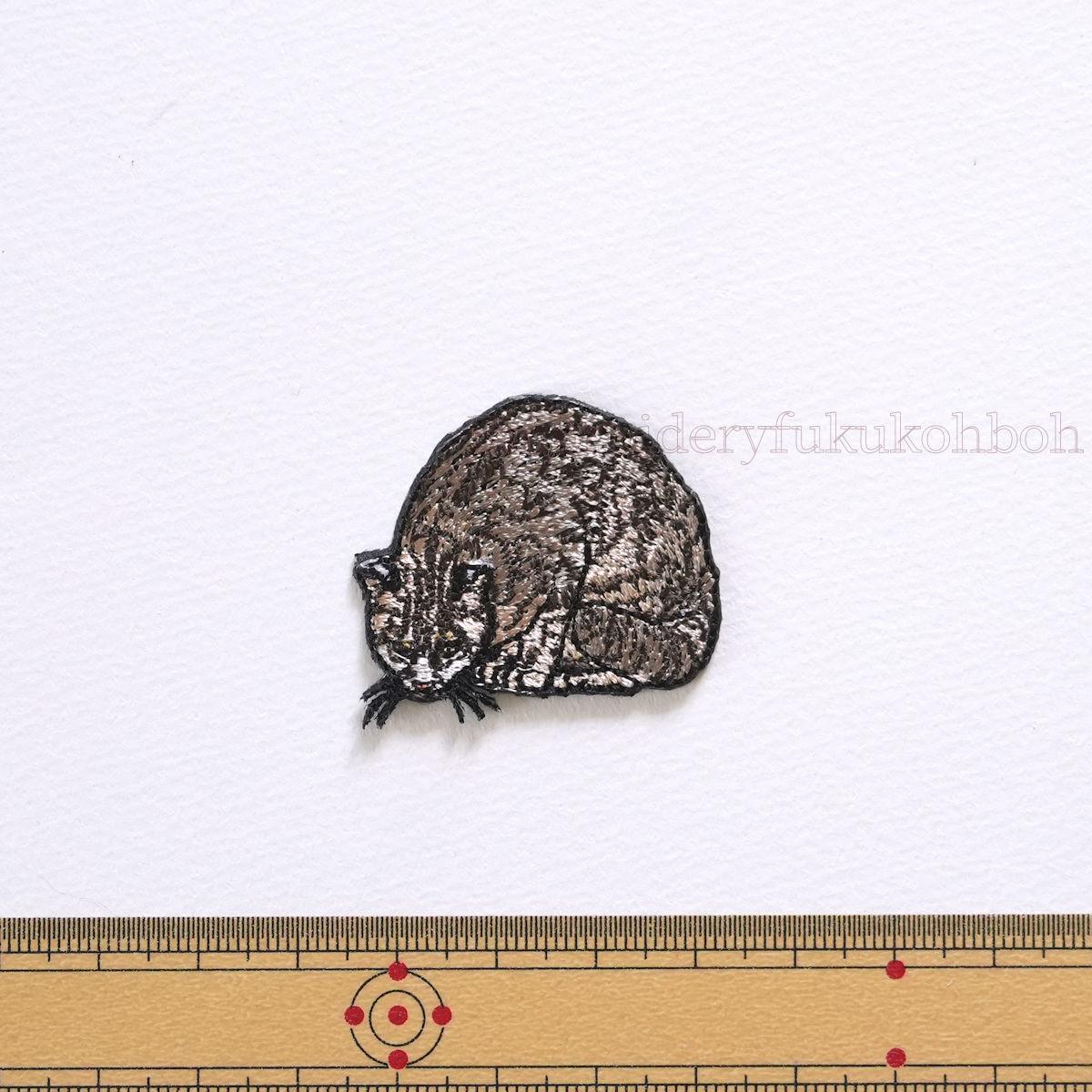 ツシマヤマネコ　天然記念物　絶滅危惧種 | 2枚目