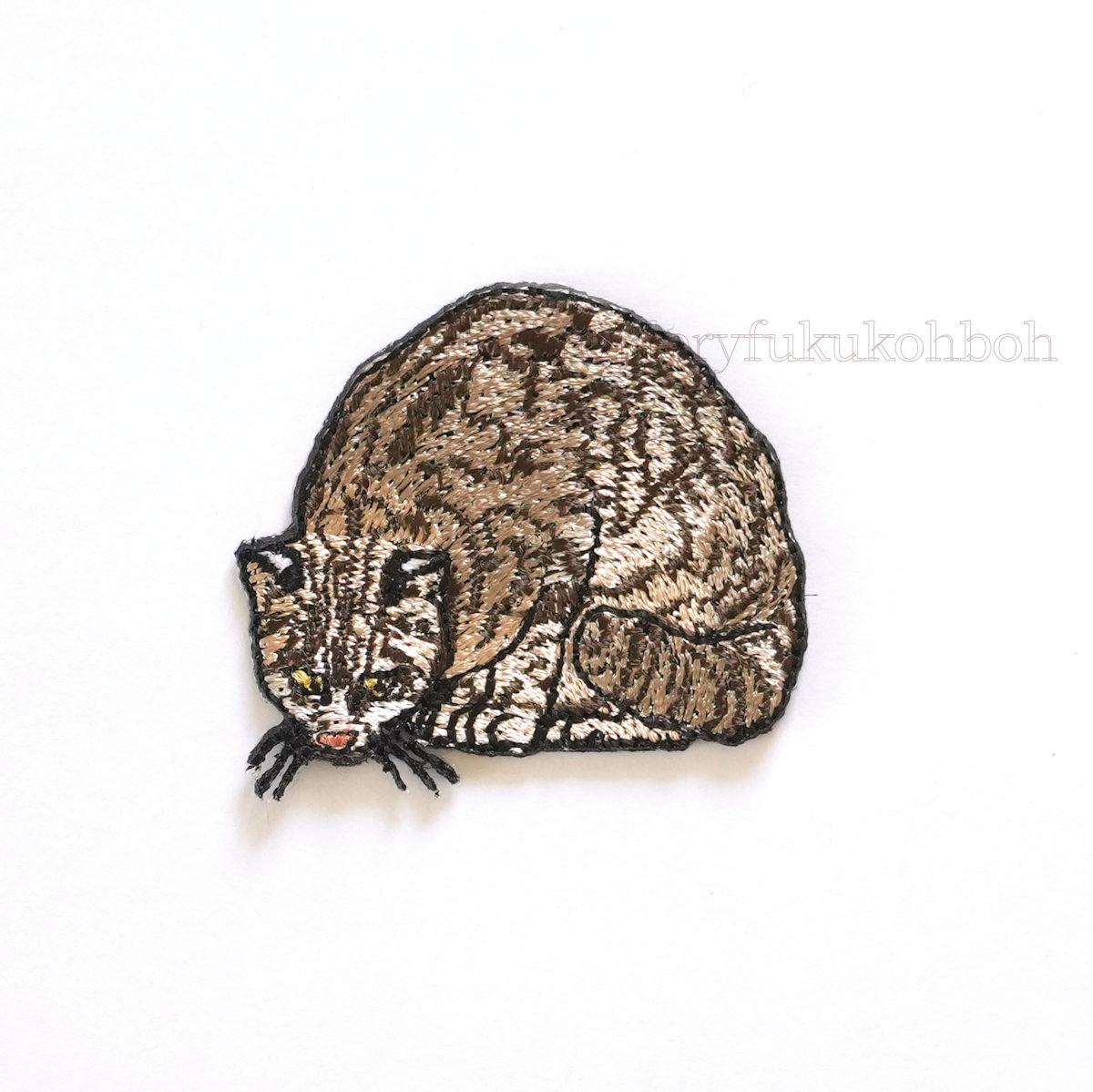 ツシマヤマネコ　大　天然記念物　絶滅危惧種1枚目の画像