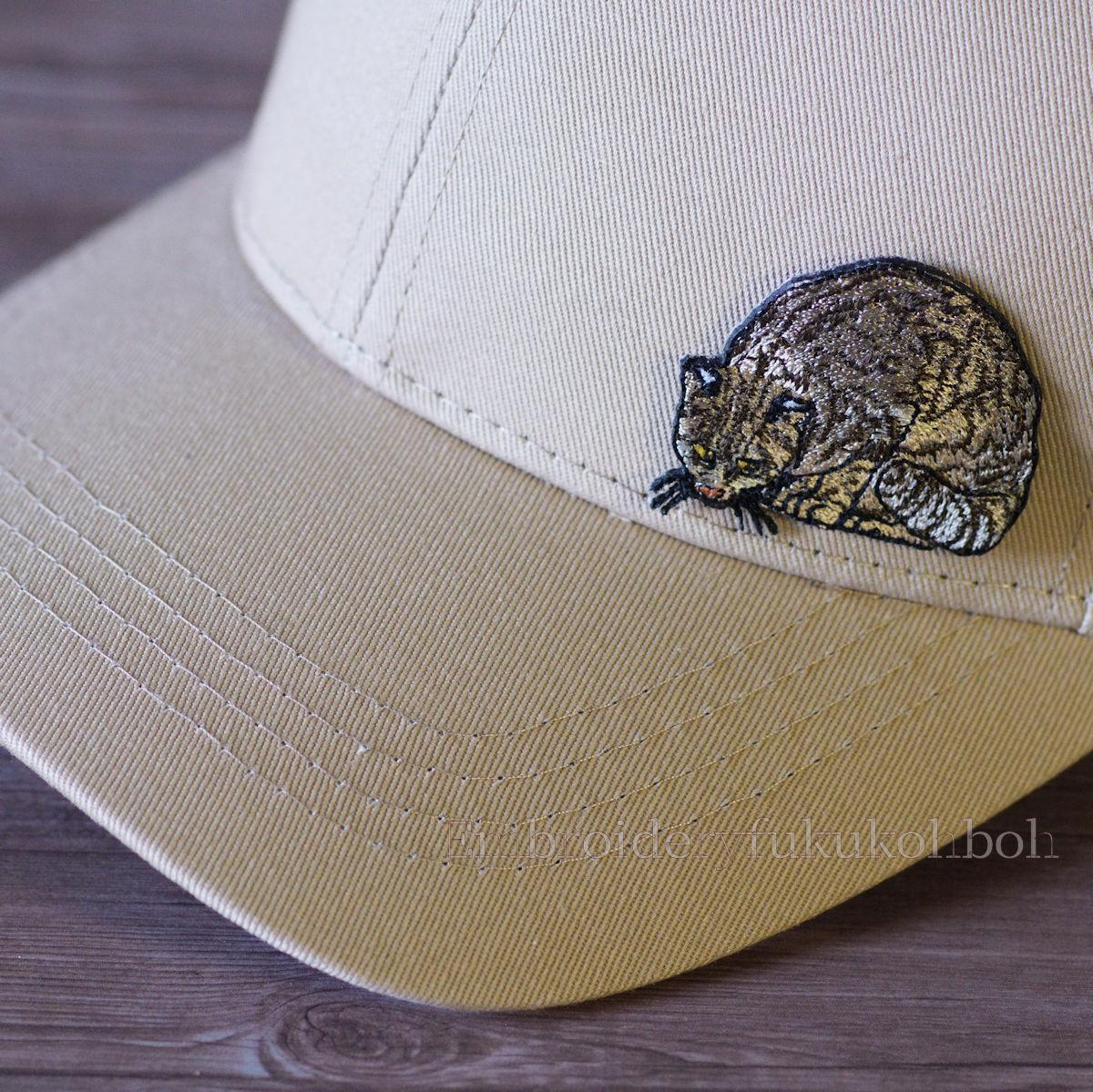 ツシマヤマネコ　大　天然記念物　絶滅危惧種 | 3枚目