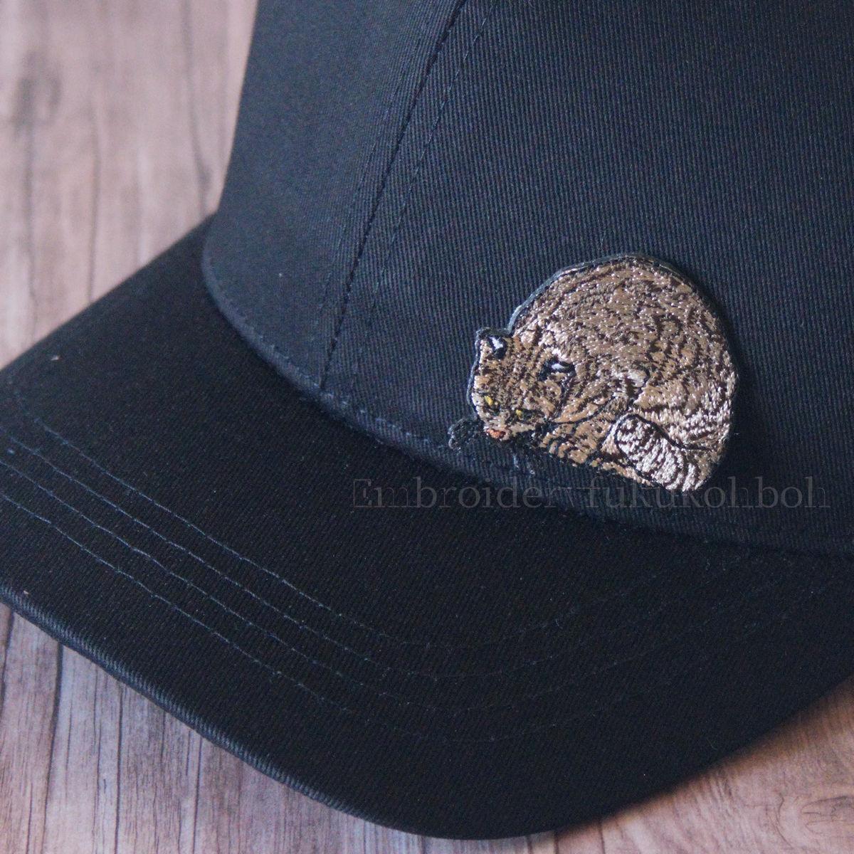 ツシマヤマネコ　大　天然記念物　絶滅危惧種 | 4枚目